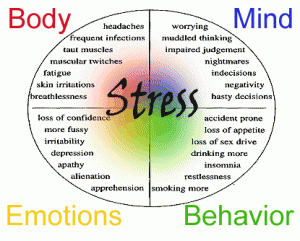 stress